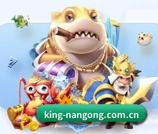 king-nangong.com.cn的故事 - 体育资讯内容服务